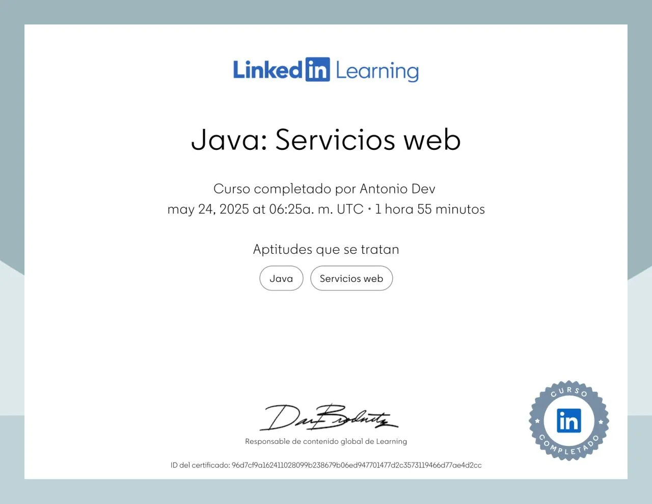 Certificado de Java: Servicios web